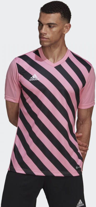 Adidas Entrada 22 Graphic Heren Jerseys/Replicas