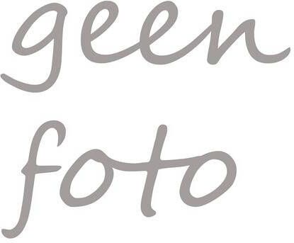 Lowa Renegade Mid GTX Wandelschoenen Middenkaki/Middengeel