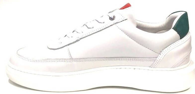 Cycleur de Luxe Dryden