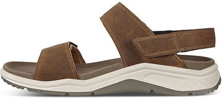 ECCO 880664