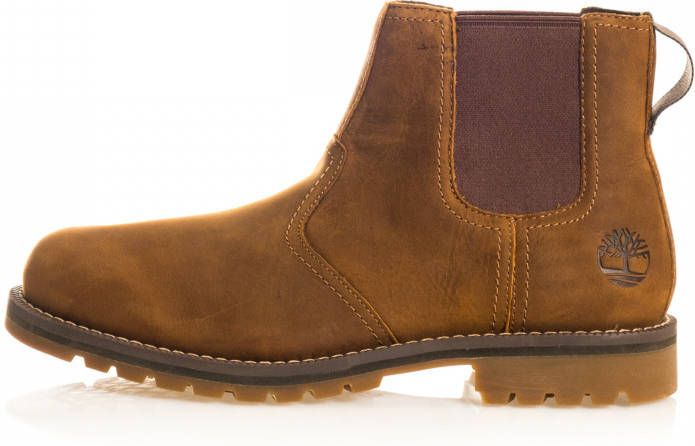 Timberland Schoenen man larchomnt ii chelsea tb0a5sbv231