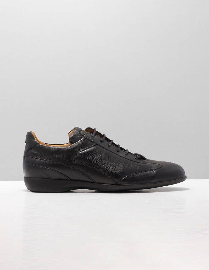 Van Bommel 16300