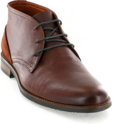 Van Lier 5341