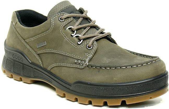 ECCO Track 25 Tarmac 831804 Goretex Wandelschoen