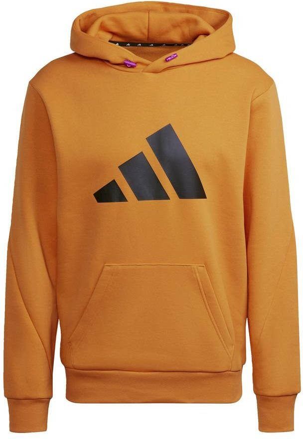 Adidas Future Icon WTR Sweater Met Capuchon Heren
