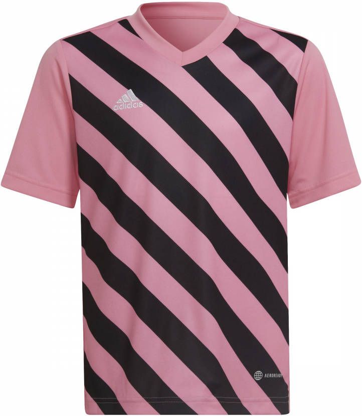Adidas Kids adidas Entrada 22 Graphic Voetbalshirt Kids Roze Zwart